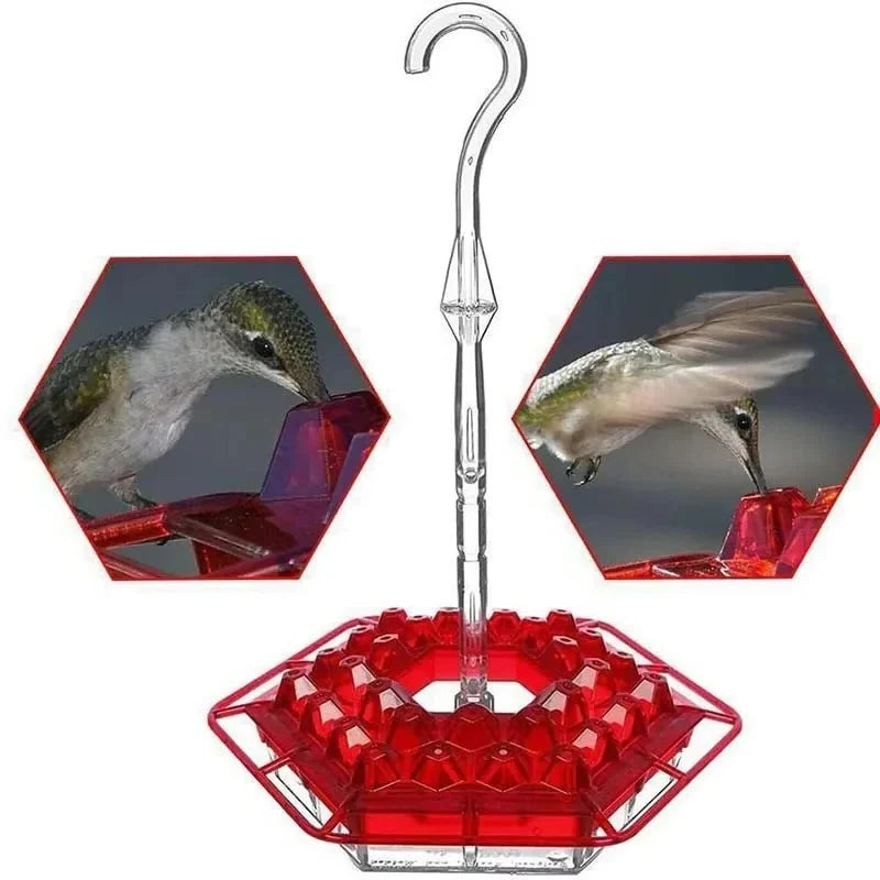 Hummingbird Feeder | Ant-Proof & UV-Resistant Polycarbonate | 30 Feeding Ports