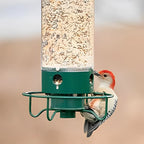 Bird Feeder | Squirrel-Proof & Weight-Activated Perch | 5-Pound Capacity