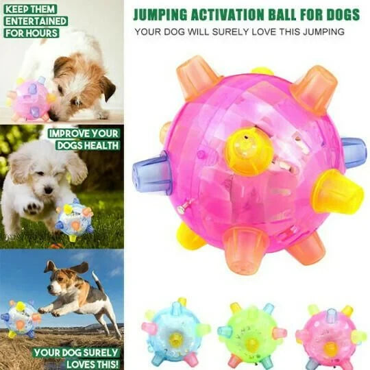 Dog Toy | Interactive LED Jumping & Food-Grade Rubber