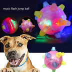 Dog Toy | Interactive LED Jumping & Food-Grade Rubber