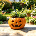 Ceramic Planter | Glossy Glaze Pumpkin Face | Integrated Plant Insert