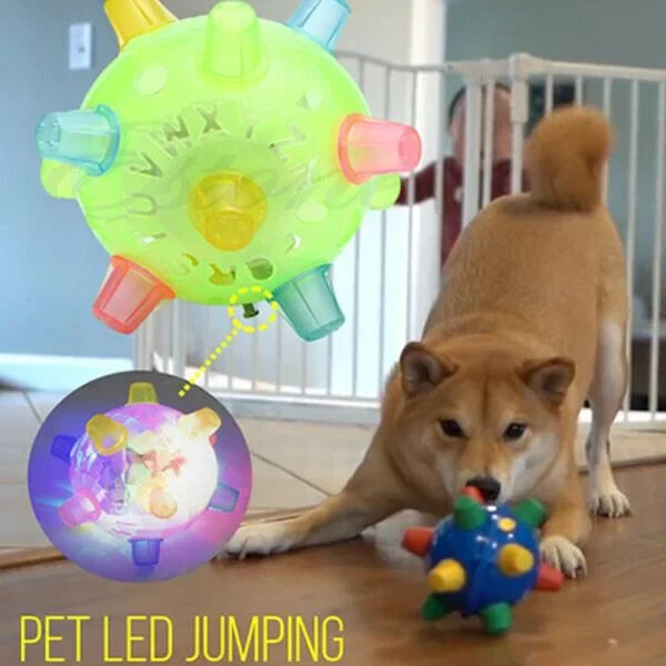 Dog Toy | Interactive LED Jumping & Food-Grade Rubber