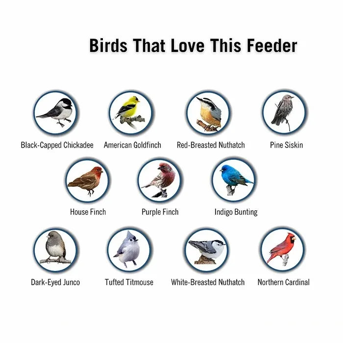 Bird Feeder | Squirrel-Proof & Weight-Activated Perch | 5-Pound Capacity