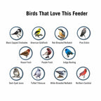 Bird Feeder | Squirrel-Proof & Weight-Activated Perch | 5-Pound Capacity