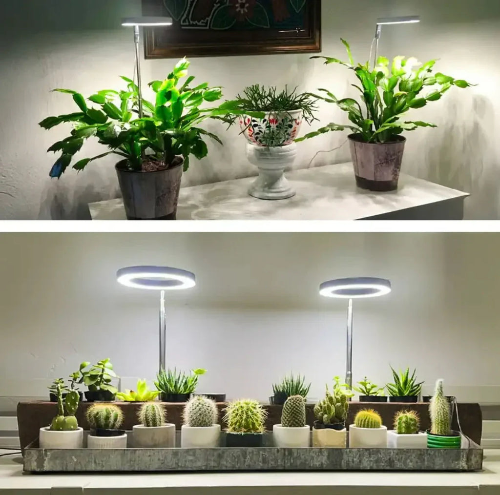 Plant Lamp | Full-Spectrum LED & Dimmable Timer