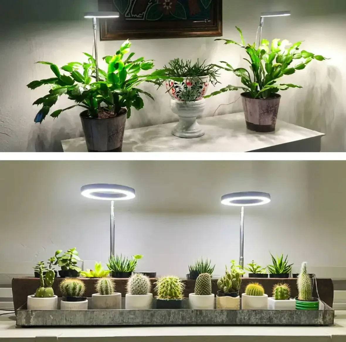 Plant Lamp | Full-Spectrum LED & Dimmable Timer
