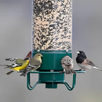 Bird Feeder | Squirrel-Proof & Weight-Activated Perch | 5-Pound Capacity