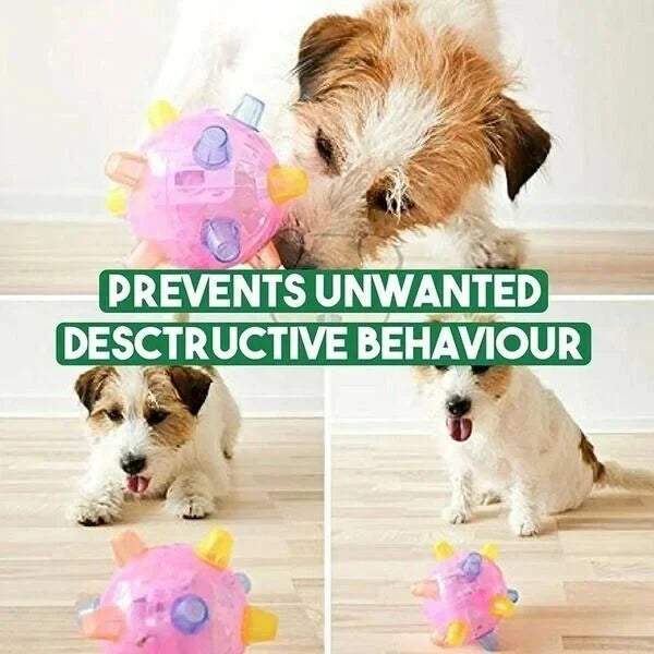 Dog Toy | Interactive LED Jumping & Food-Grade Rubber