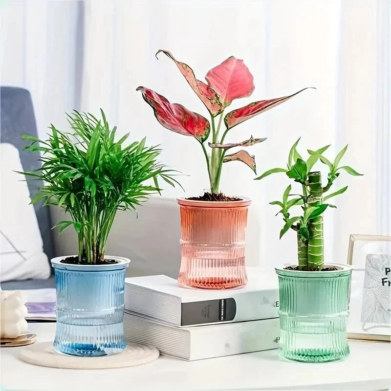 Indoor Planter | Eco-Friendly Self-Watering & Double-Wall