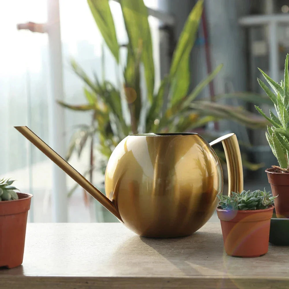 Watering Can | Minimalist Narrow Spout & Ergonomic Handle