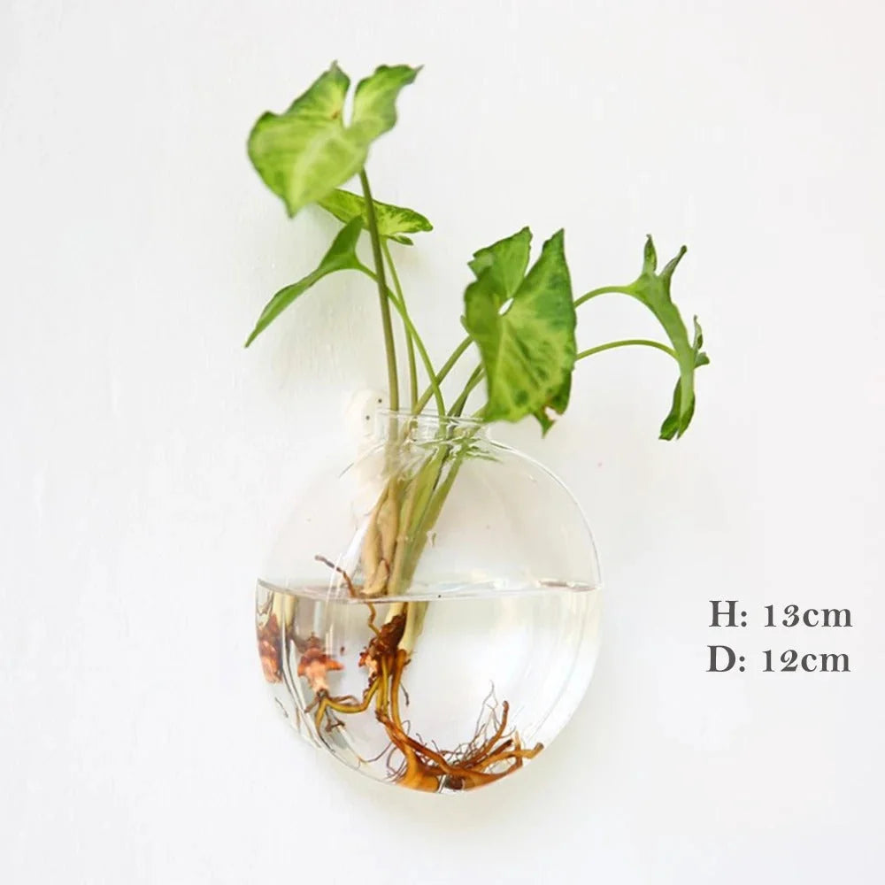 Wandmontierte Glasvase | Borosilikatglas & verschiedene Formen