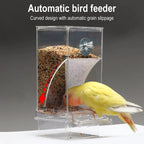 Automatic Bird Feeder | Spill-Proof & Splash-Proof | For Small Birds