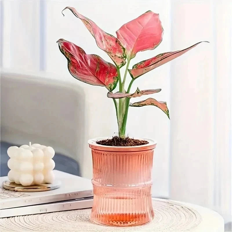 Indoor Planter | Eco-Friendly Self-Watering & Double-Wall