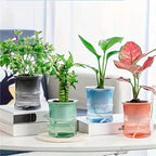 Indoor Planter | Eco-Friendly Self-Watering & Double-Wall
