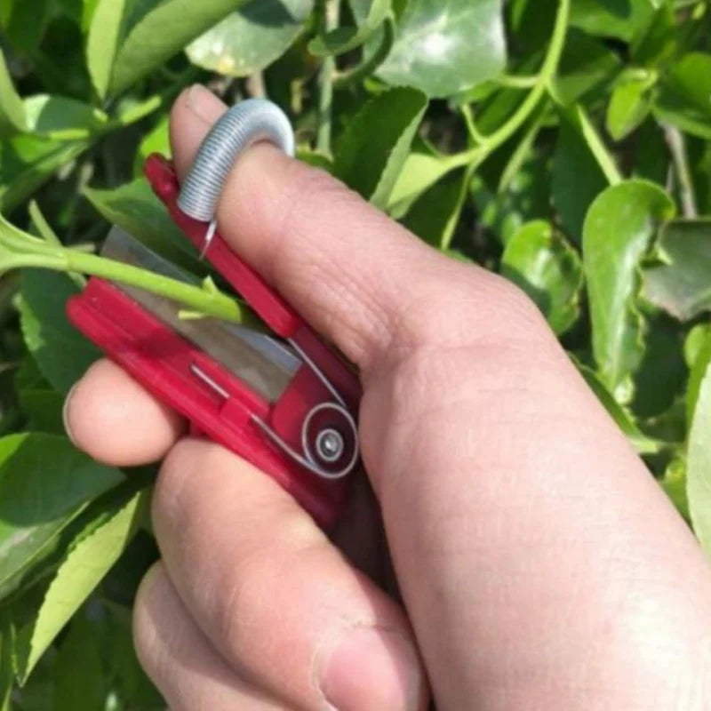 Fruit & Vegetable Picker | Stainless Steel & Long-Reach