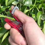 Fruit & Vegetable Picker | Stainless Steel & Long-Reach