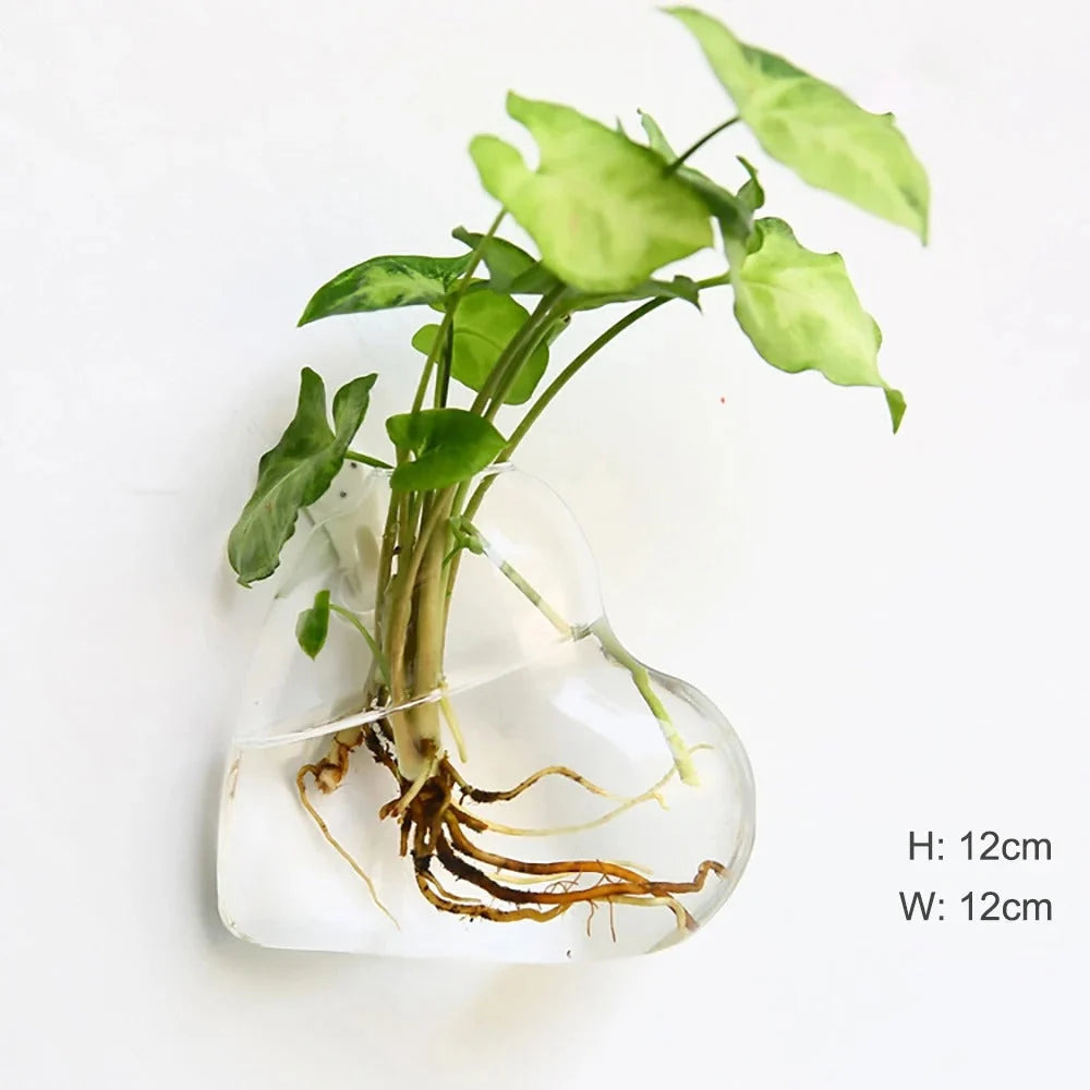 Wandmontierte Glasvase | Borosilikatglas & verschiedene Formen