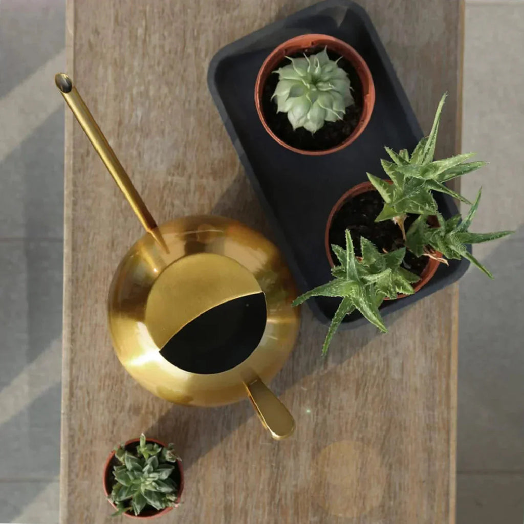 Watering Can | Minimalist Narrow Spout & Ergonomic Handle