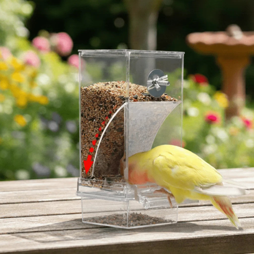 Automatic Bird Feeder | Spill-Proof & Splash-Proof | For Small Birds