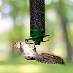 Bird Feeder | Squirrel-Proof Weight-Activated | Large Capacity