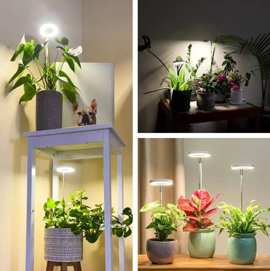 Plant Lamp | Full-Spectrum LED & Dimmable Timer