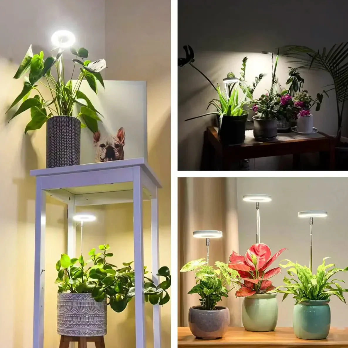 Plant Lamp | Full-Spectrum LED & Dimmable Timer