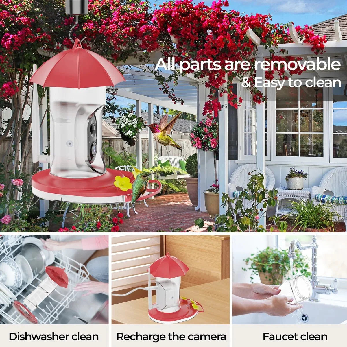 Bird Feeder | 1080P Wide-Angle Camera & Solar Charging