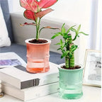 Indoor Planter | Eco-Friendly Self-Watering & Double-Wall