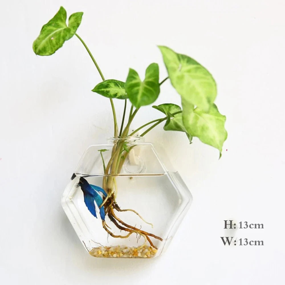 Wandmontierte Glasvase | Borosilikatglas & verschiedene Formen