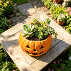 Ceramic Planter | Glossy Glaze Pumpkin Face | Integrated Plant Insert