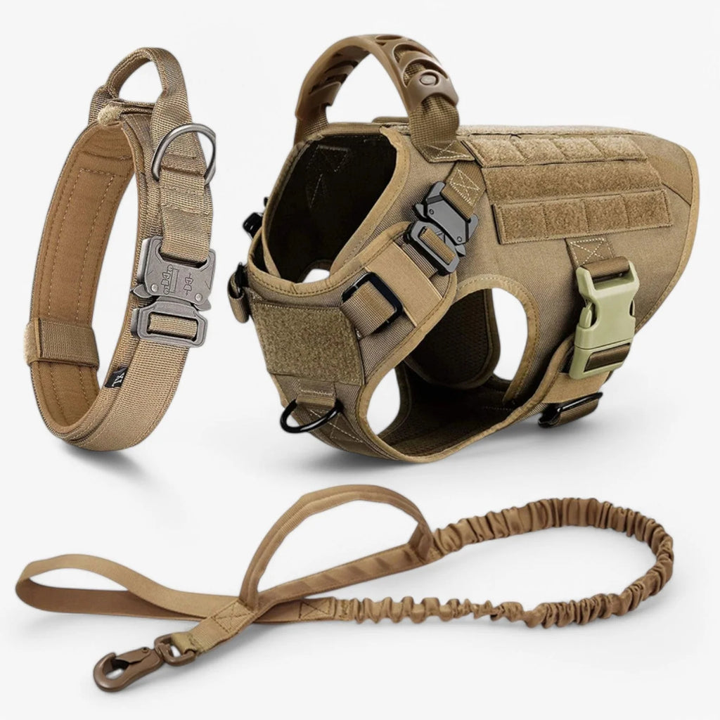 Dog Harness | Padded Nylon, Handle & Reflective Details