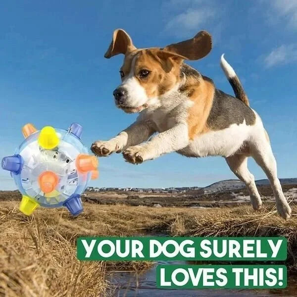 Dog Toy | Interactive LED Jumping & Food-Grade Rubber