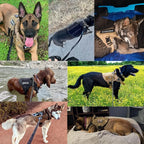 Dog Harness | Padded Nylon, Handle & Reflective Details