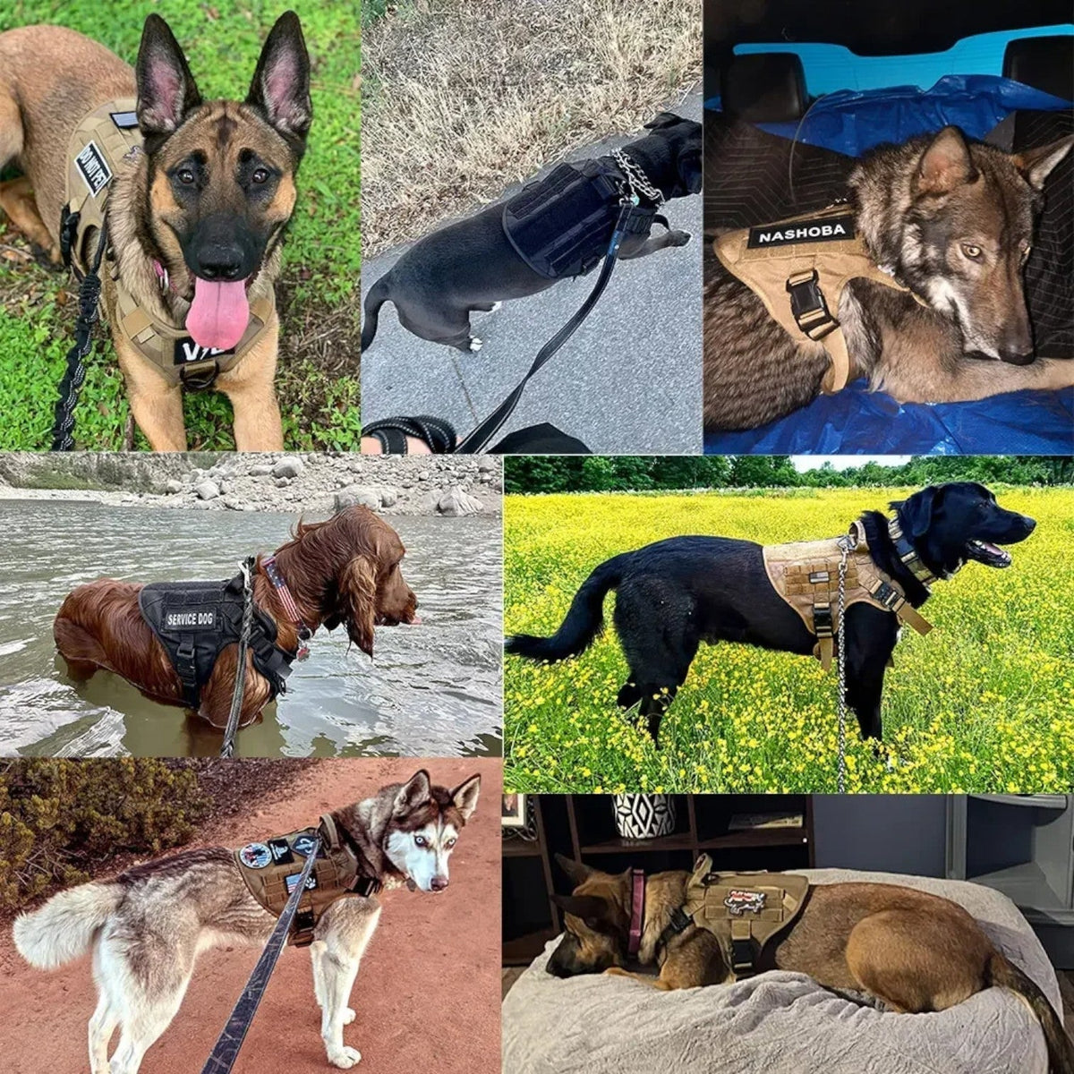 Dog Harness | Padded Nylon, Handle & Reflective Details