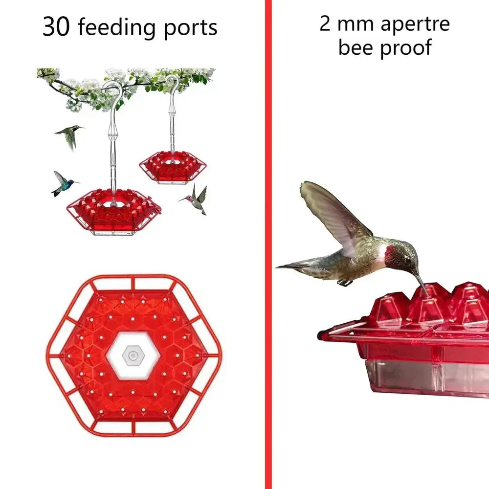 Hummingbird Feeder | Ant-Proof & UV-Resistant Polycarbonate | 30 Feeding Ports