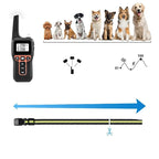 Dog Training Collar | Waterproof & Rechargeable | 1,000 m Remote Range