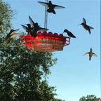 Hummingbird Feeder | Ant-Proof & UV-Resistant Polycarbonate | 30 Feeding Ports