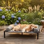 Elevated Dog Bed | Ventilated Mesh & Sturdy Steel Frame | Outdoor & Camping