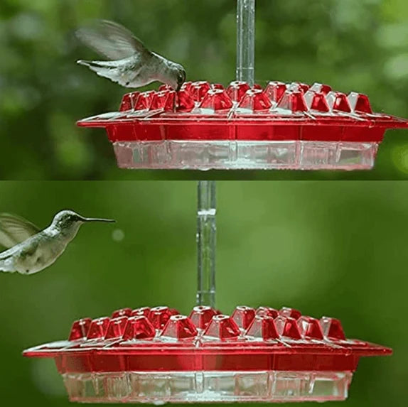 Hummingbird Feeder | Ant-Proof & UV-Resistant Polycarbonate | 12 Oz Capacity