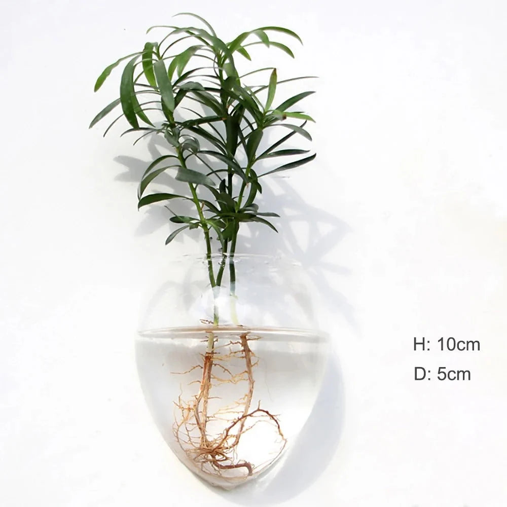 Wandmontierte Glasvase | Borosilikatglas & verschiedene Formen