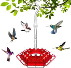 Hummingbird Feeder | Ant-Proof & UV-Resistant Polycarbonate | 30 Feeding Ports
