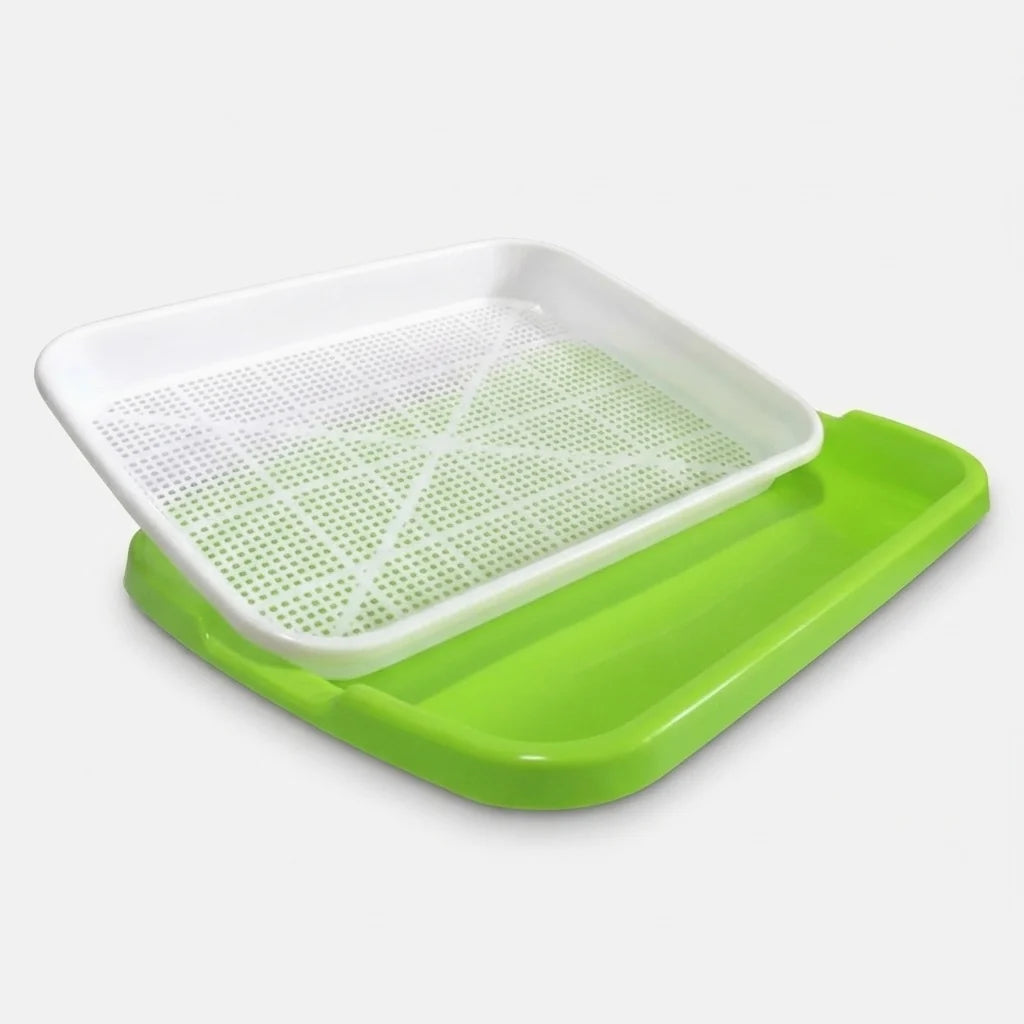 Sprouting Tray | 2-Layer Drainage & BPA-Free Plastic | 33 x 26 cm
