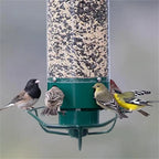 Bird Feeder | Squirrel-Proof Weight-Activated | Large Capacity