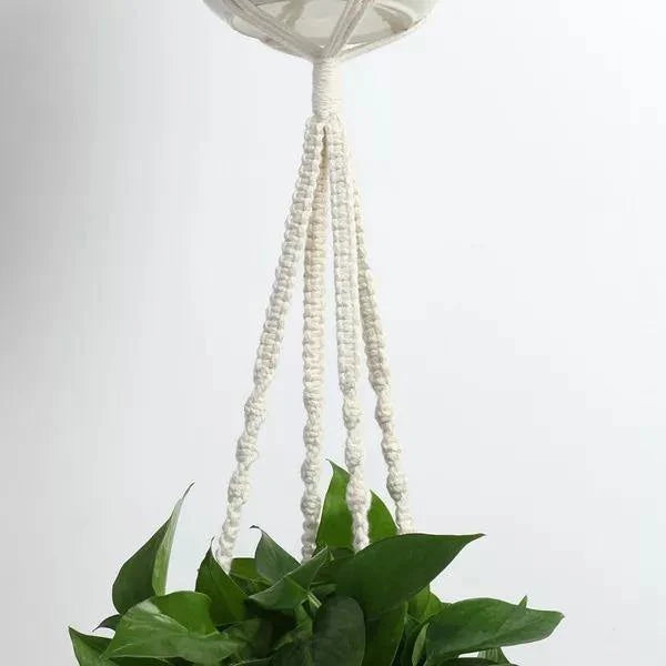 Macrame Plant Hangers | Handmade Cotton Cord & Beads | Set of 4