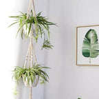 Macrame Plant Hangers | Handmade Cotton Cord & Beads | Set of 4
