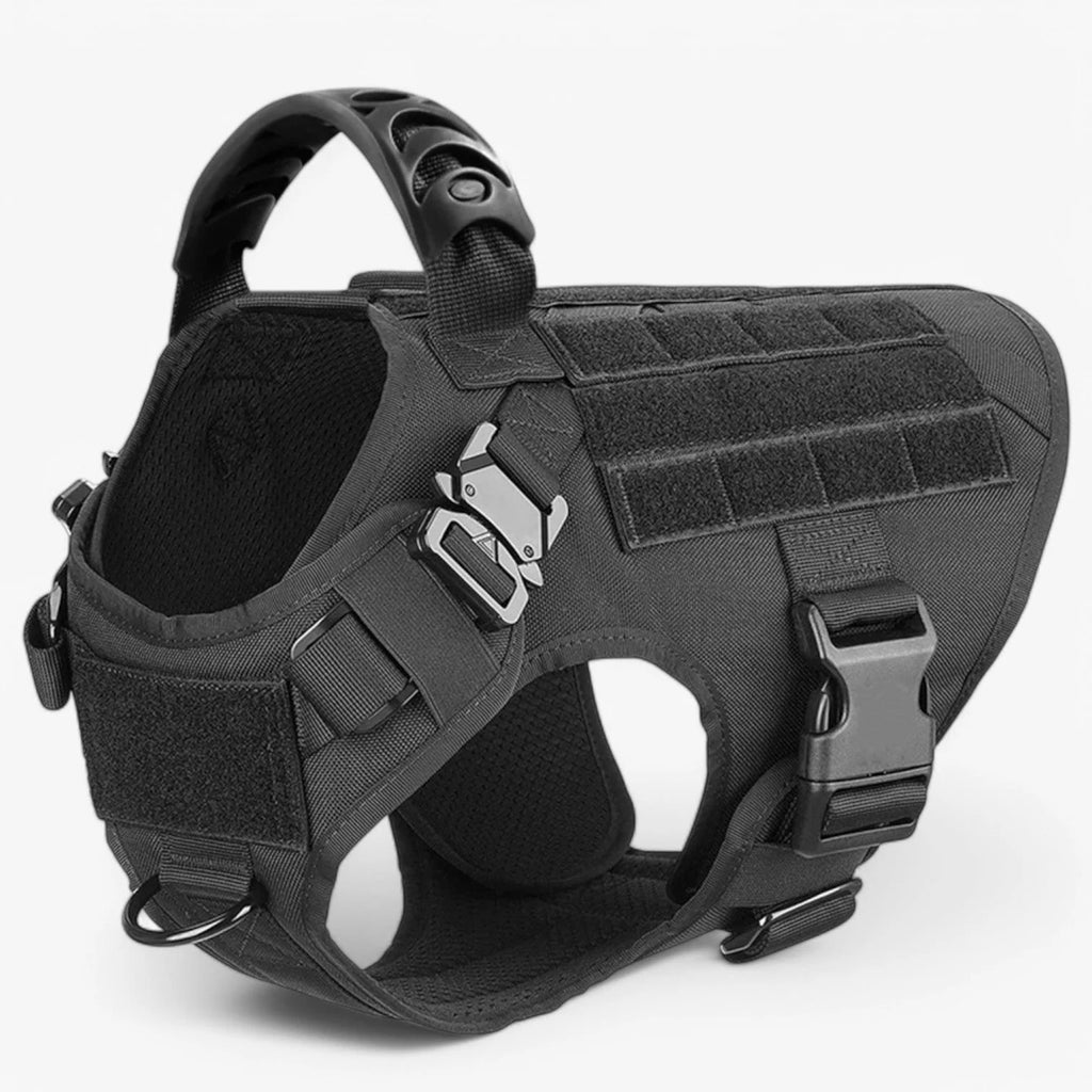 Dog Harness | Padded Nylon, Handle & Reflective Details