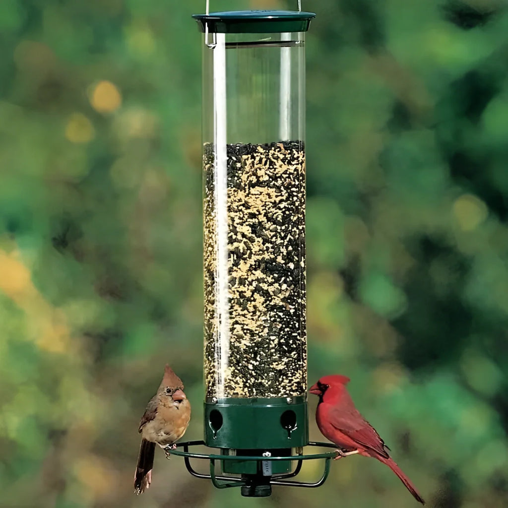 Bird Feeder | Squirrel-Proof & Weight-Activated Perch | 5-Pound Capacity
