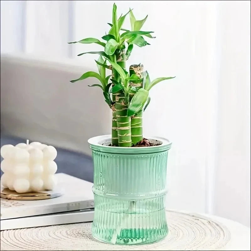 Indoor Planter | Eco-Friendly Self-Watering & Double-Wall