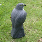 Falcon Decoy | Realistic & Weather-Resistant PE Resin | 40 x 17.5 x 17 cm
