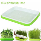 Sprouting Tray | 2-Layer Drainage & BPA-Free Plastic | 33 x 26 cm